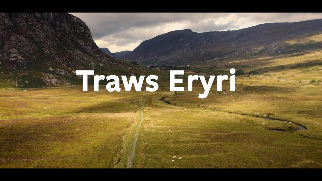 Bryn Mair Panzió Dolgellau Kültér fotó